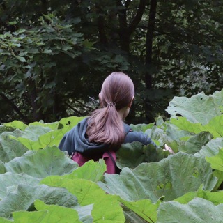Ксения