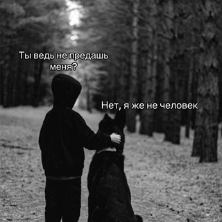 ㅤ