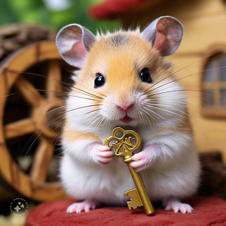 Hamster Kombat Free Keys Chat