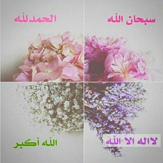 🌺آيات ومواعظ🌺