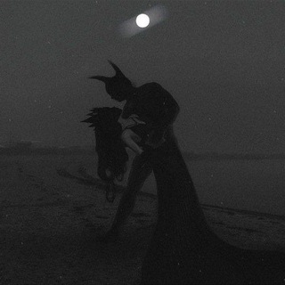 ☾︎.𝕤𝕖𝕝𝕖𝕟𝕠𝕡𝕙𝕚𝕝𝕖.☽︎