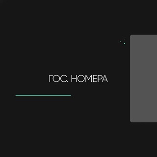 Сергей Дубликат гос номера | Без флага