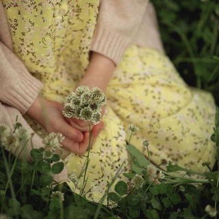 سنآء رضا.