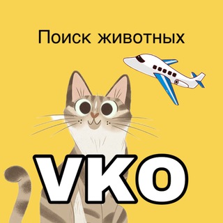 ЗоопоискVKO ✈️ - потеряшки в аэропорту Внуково