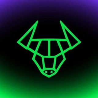 Bullbit_korea 한국채널