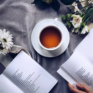 Бот📚ББК
