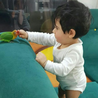 مدیر تبلیغات