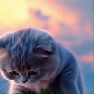 °✶ ❈ ✷ ℕ𝕒𝕤𝕥𝕪𝕒 ✷ ❈ ✶°