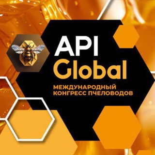 ApiGLOBAL•СППР