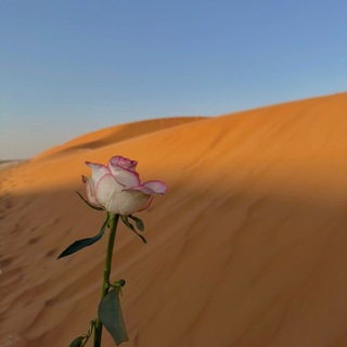 ‎الصحوة