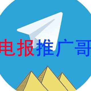 飞机号 电报号