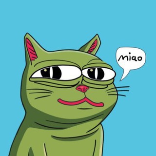 $MIAO CTO