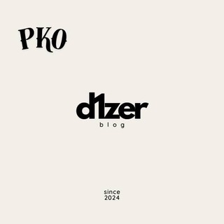 d1zer blog