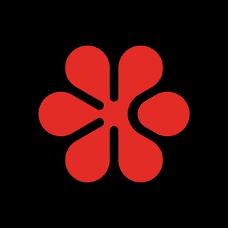 Tek.fm🚨происшествия