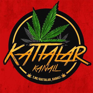 Kattalar kanali🔞