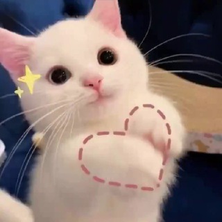 @laohaomei 老号妹 防失联必关注🥇