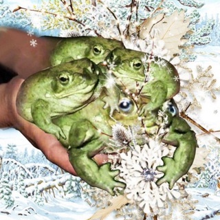 ❄️🐸Семья жаб🐸❄️