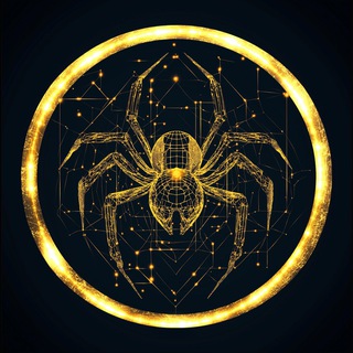 Spider Wealth