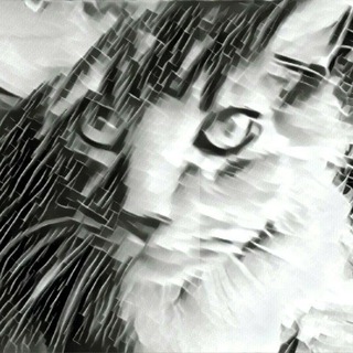 Kitties R Us