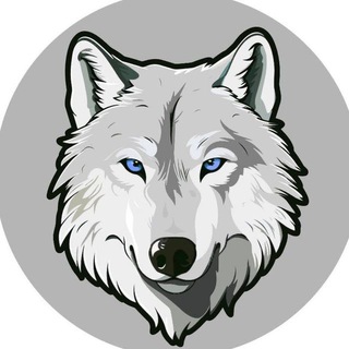 Yama Inu Official