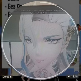 Енот