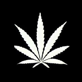 MARIHUANA BEATS