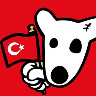 Dogs Türkiye 🇹🇷