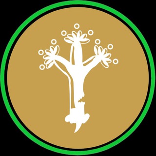 𝗭𝗮𝗽𝗼𝘁𝗶𝘁𝗹𝗮́𝗻 [𝗟𝟭𝟮]