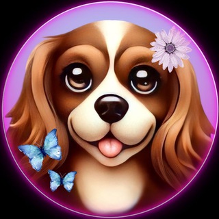 Sheli App