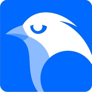 WhiteBird Support Bot