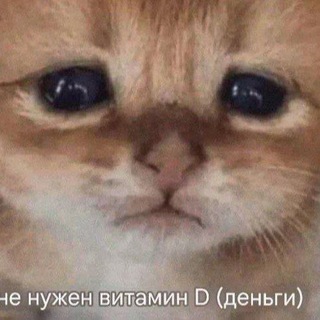⁤кай
