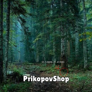 PrikopovShop