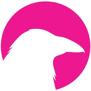 Quoth中文社区