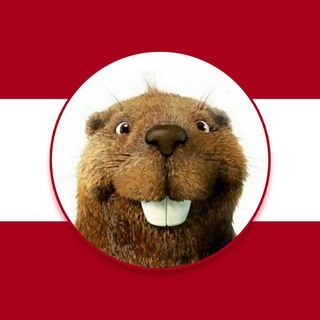 ŚMIESZNE ZWIERZĘTA
