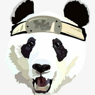 Team Warrior Spirit🐼