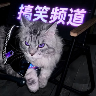 小众频道 搞笑视频/图片💜