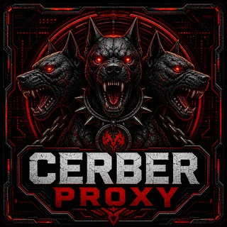 CERBER PROXY