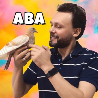Андрей Гороновский