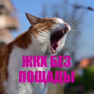 ЖКХ без пощады бот