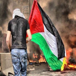 ✌️🇵🇸