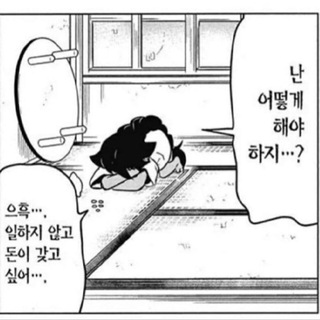 미미월드