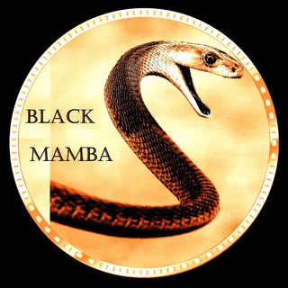 Black Mamba Coin (BLM)