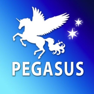 Pegasus🐎