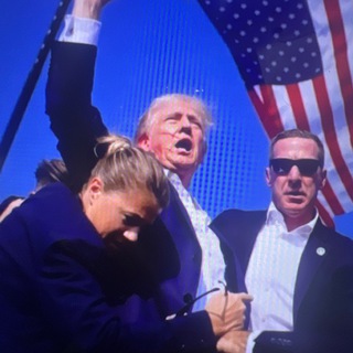 FIGHT TRUMP SOL Coin Official