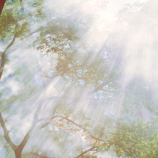 𔘓ㅤ𝑑𝑎𝑛𝑠𝑒𝑢𝑠𝑒, 𝟺𝟺𝟺’𝒔.