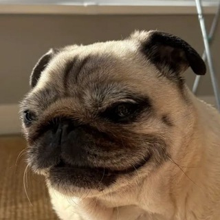 Фанат ᠌ ᠌