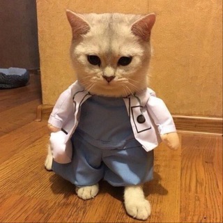️ ️ 𝐏𝐚𝐧𝐚𝐝𝐨𝐥 🩺💊بـنــــدول