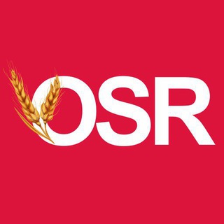 OSR - Новини Кіровоградщини 🇺🇦