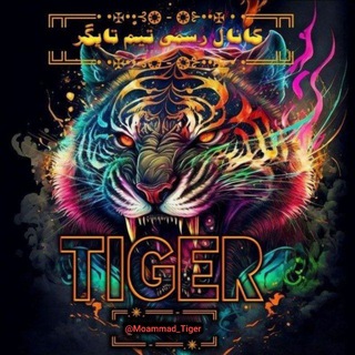 TigerTeam I تیم تایگر