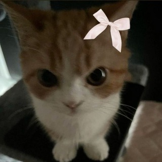 dash_aaaa_ 💗